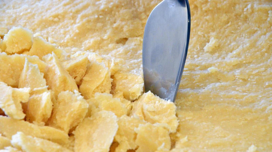 Bcc Iccrea-Cdp, contratto di filiera da 43 milioni per consorzio Trentingrana