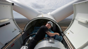 Siemens Energy seeks state help as wind unit crisis deepens