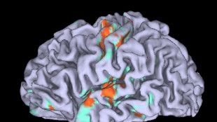 Leggere nella mente con la sola analisi del volto, con l'IA