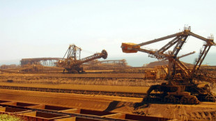 Le groupe minier Rio Tinto se dit "d&eacute;sol&eacute;" d'avoir perdu une capsule radioactive en Australie