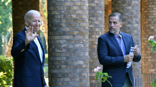 Biden Jr. desaf&iacute;a a los hijos de Trump a una pelea en jaula