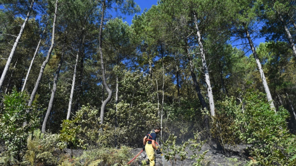 Incendie des C&eacute;vennes: nuit calme sur le site maintenu sous surveillance