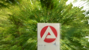 Allemagne: ch&ocirc;mage stable en septembre, la relance automnale reste poussive 