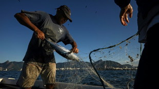 Brazil economy slows, but beats forecasts again in Q2