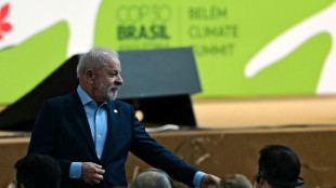 ¡Corbatas fuera! El calor de Belém sacude los códigos de la cumbre de líderes