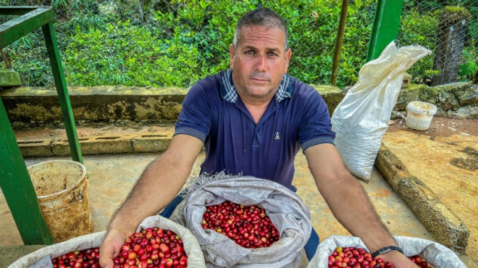 A Cuba, du caf&eacute; haut de gamme pour relancer un secteur en berne