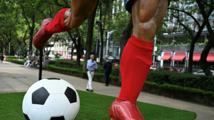 Resuelto el problema con los visados, la selecci&oacute;n de Sud&aacute;frica viaja ya a M&eacute;xico