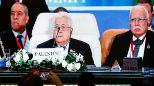 El presidente de Autoridad Palestina, v&iacute;ctima colateral de guerra en Gaza