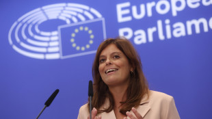 Weber, 'è giusto revocare l'immunità a Salis'