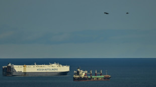 Navio paga valor hist&oacute;rico de US$ 5,3 milh&otilde;es para atravessar o Canal do Panam&aacute;