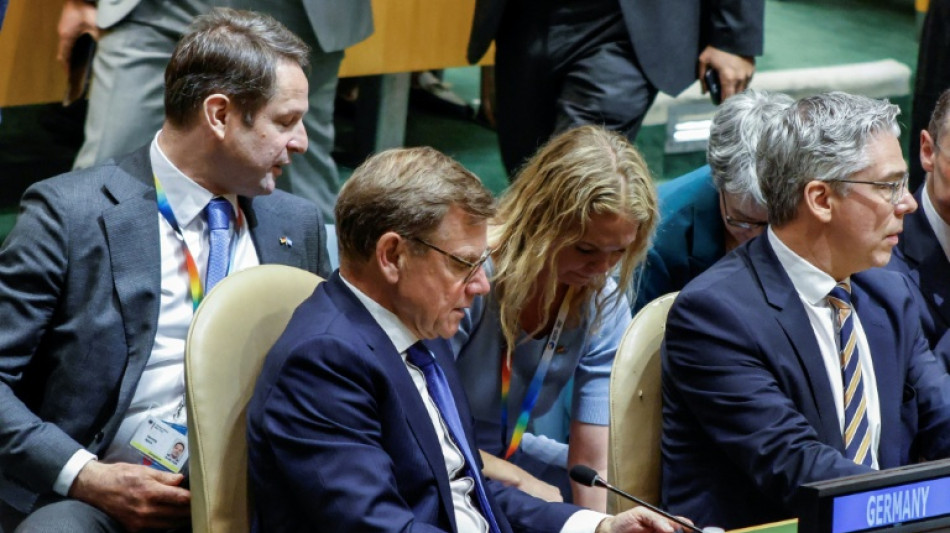 Alemania fracasa en su intento por conseguir una banca en el Consejo de Seguridad de la ONU