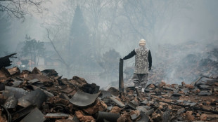 Incêndios florestais deixam 24 mortos na Coreia do Sul
