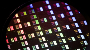 US probes China chip industry on 'anticompetitive' concerns