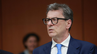Giorgetti, 'serve un ripensamento sulla gestione dei sistemi energetici'