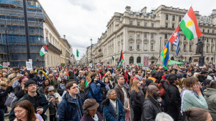 A migliaia a Londra per le manifestazioni di estrema destra e Propal, 31 arresti