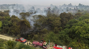 'Truly scared': Blazes outpace firefighters in Indonesian Borneo