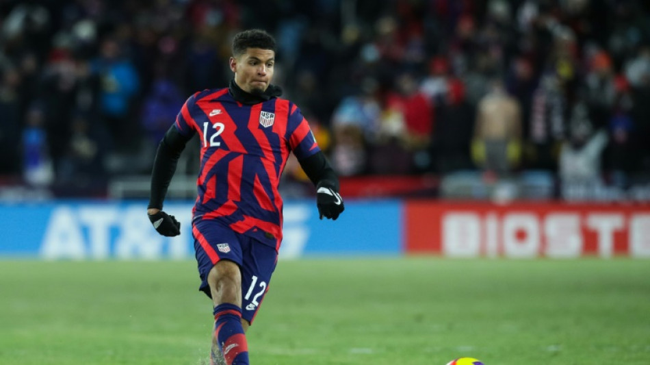 Robinson injury blow for US World Cup plans