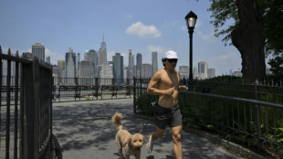 Nova York busca medidas para tirar coc&ocirc; de cachorro de suas ruas e parques