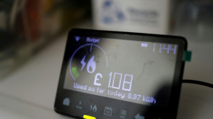 Eon: Dynamische Stromtarife besonders f&uuml;r E-Autofahrer interessant