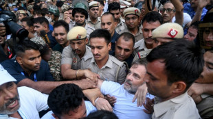 Liberan al l&iacute;der opositor indio Gandhi tras ser detenido en protesta de las "cucarachas"