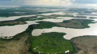 $500 mn pledged for jihadist-torn Lake Chad