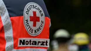 16-J&auml;hriger bei Surfen auf S-Bahn durch Stromschlag lebensgef&auml;hrlich verletzt