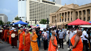 Sri Lanka bittet seine Bürger im Ausland um Geld