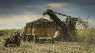 Cuba veut "sauver" son sucre, autrefois produit-phare de l'île