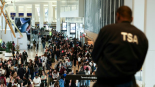 El Senado de EEUU avanza para poner fin al caos en aeropuertos 