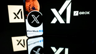 Hitler-Verherrlichung durch Chatbot Grok: Start-up von Musk entschuldigt sich