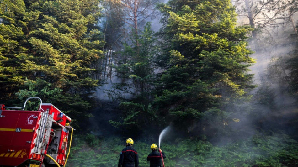Feux de for&ecirc;t: le Parlement renforce la pr&eacute;vention