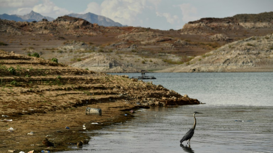 California submits rival Colorado River water plan