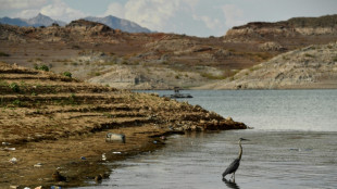 California submits rival Colorado River water plan