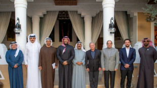 Gipfel arabischer Staaten zu Trumps Gaza-Plan in Riad zu Ende gegangen