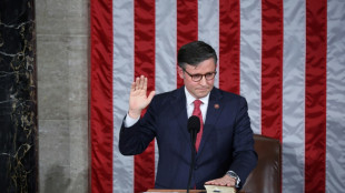 Republicans end gridlock as US House elects new speaker
