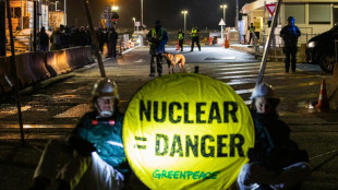 Des militants de Greenpeace arrêtés après une intrusion sur le chantier de l'EPR à Flamanville