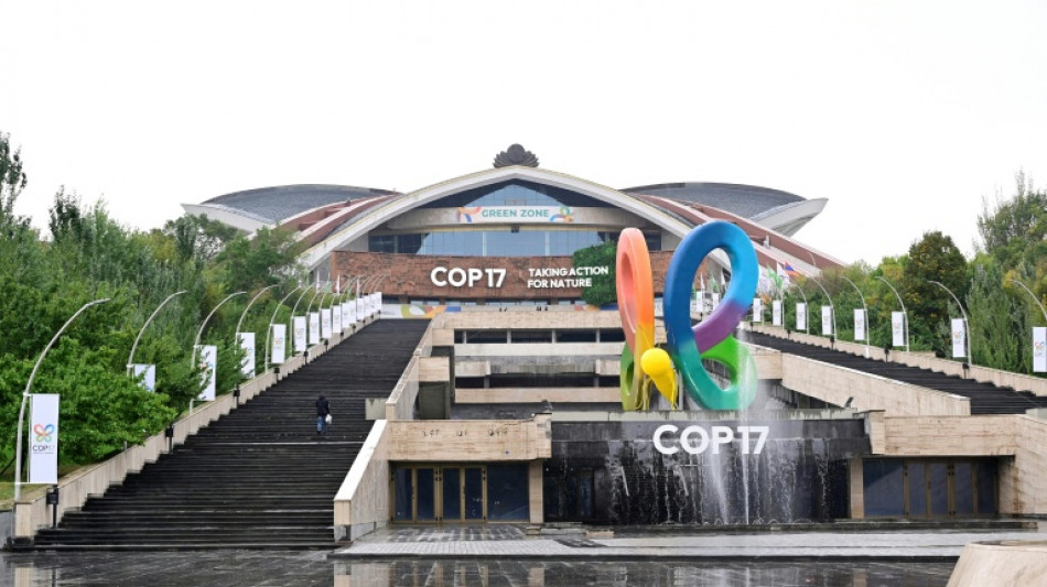 Arranca la COP17 de biodiversidad con una meta: proteger mejor la naturaleza