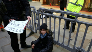 Detienen a Greta Thunberg en Londres en una protesta de apoyo a militantes de Palestine Action