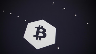 La Centrafrique adopte le bitcoin comme monnaie légale