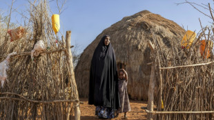 Kenya: le kala-azar, maladie m&eacute;connue et mortelle des zones arides