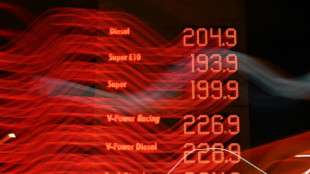 Wirtschaft fordert Hilfe bei Spritpreisen - Politik und Experten bremsen