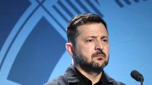 Zelensky, 'grazie ai partner Ue, apertura cluster &egrave; sostegno significativo'