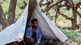 More than 140 killed in latest Yemen clashes: military sources