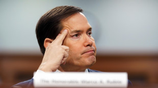 Rubio, in Siria siamo sulla strada della de-escalation