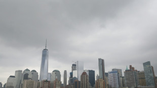 Nova York renomeia temporariamente duas ruas em homenagem a Thierry Henry e Pel&eacute;