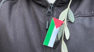Per Ong israeliane e palestinesi la 'prospettiva a due Stati si sta restringendo'