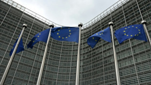 Octroi de mer: Bruxelles veut prolonger jusqu'en 2030, satisfaction des &eacute;lus ultramarins