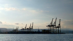 Scaduto mandato Commissario, Porto di Trieste senza vertice