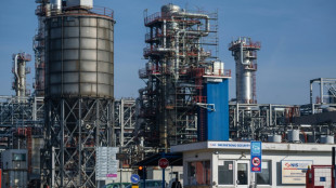 EEUU concede una nueva exenci&oacute;n de sanciones a una petrolera serbia vinculada a Rusia