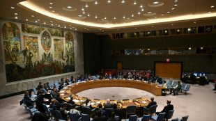 Russland verzichtet auf Abstimmung &uuml;ber UN-Resolution wegen Ukraine